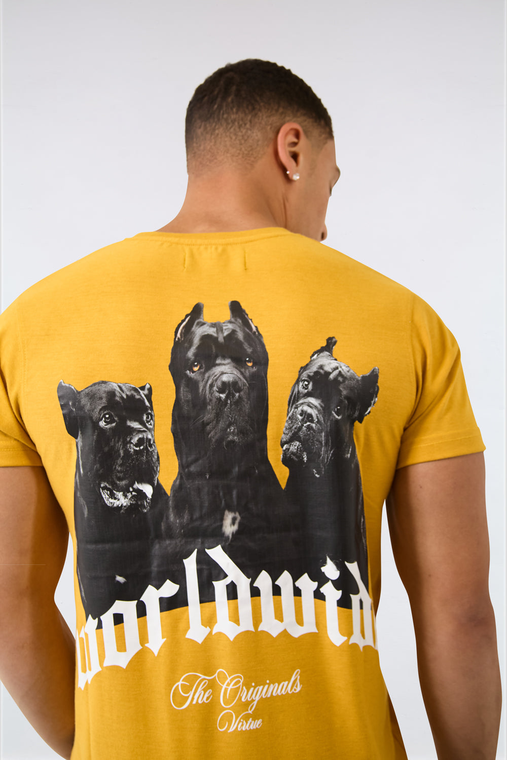 Worldwide Graphic Regular Fit T-Shirt in Mustard - London Attitude