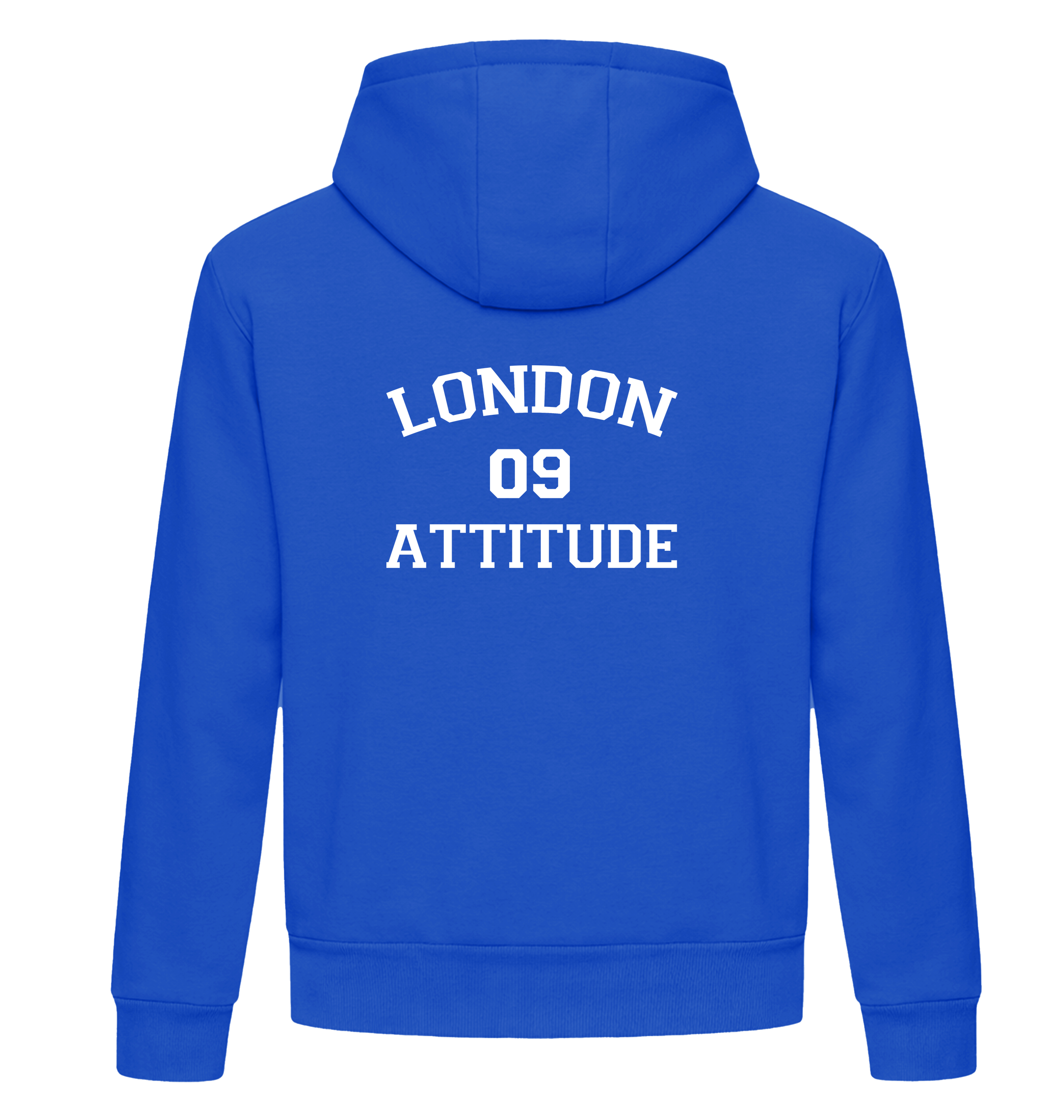 Bright Royal Printed Hoody Back